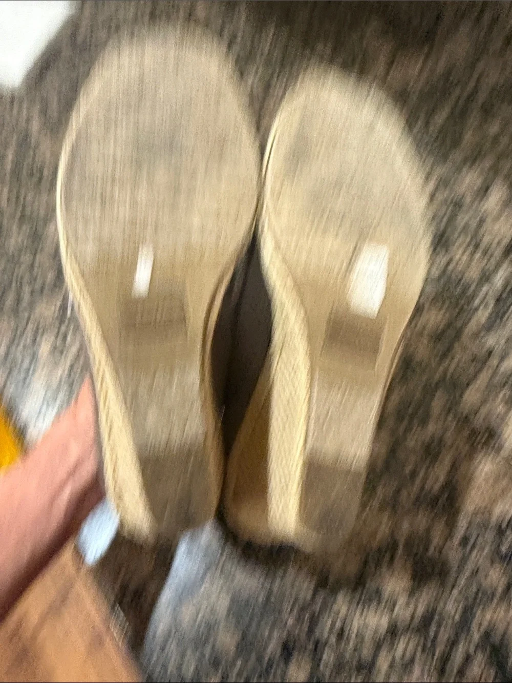 N/A toms calypso